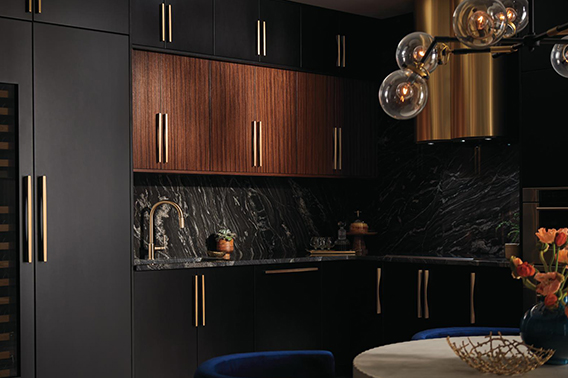 Kitchen Modern 1